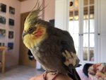 IMG_2171.jpeg