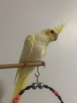 IMG_1730.jpeg