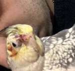 IMG_9062.jpeg