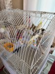 IMG-20251003-WA0008.jpg