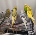 WhatsApp Görsel 2025-10-19 saat 14.02.49_9b956df8.jpg