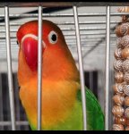 WhatsApp Image 2025-11-05 at 08.06.58.jpeg