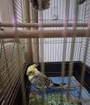 WhatsApp Image 2025-11-26 at 09.42.41(1).jpeg