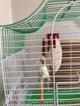 IMG_4008.jpeg