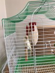 IMG_4005.jpeg