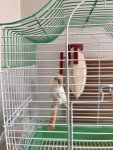 IMG_4003.jpeg