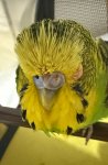 IMG_9159.jpeg