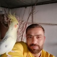 01adanalı
