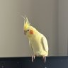 pikachuuu