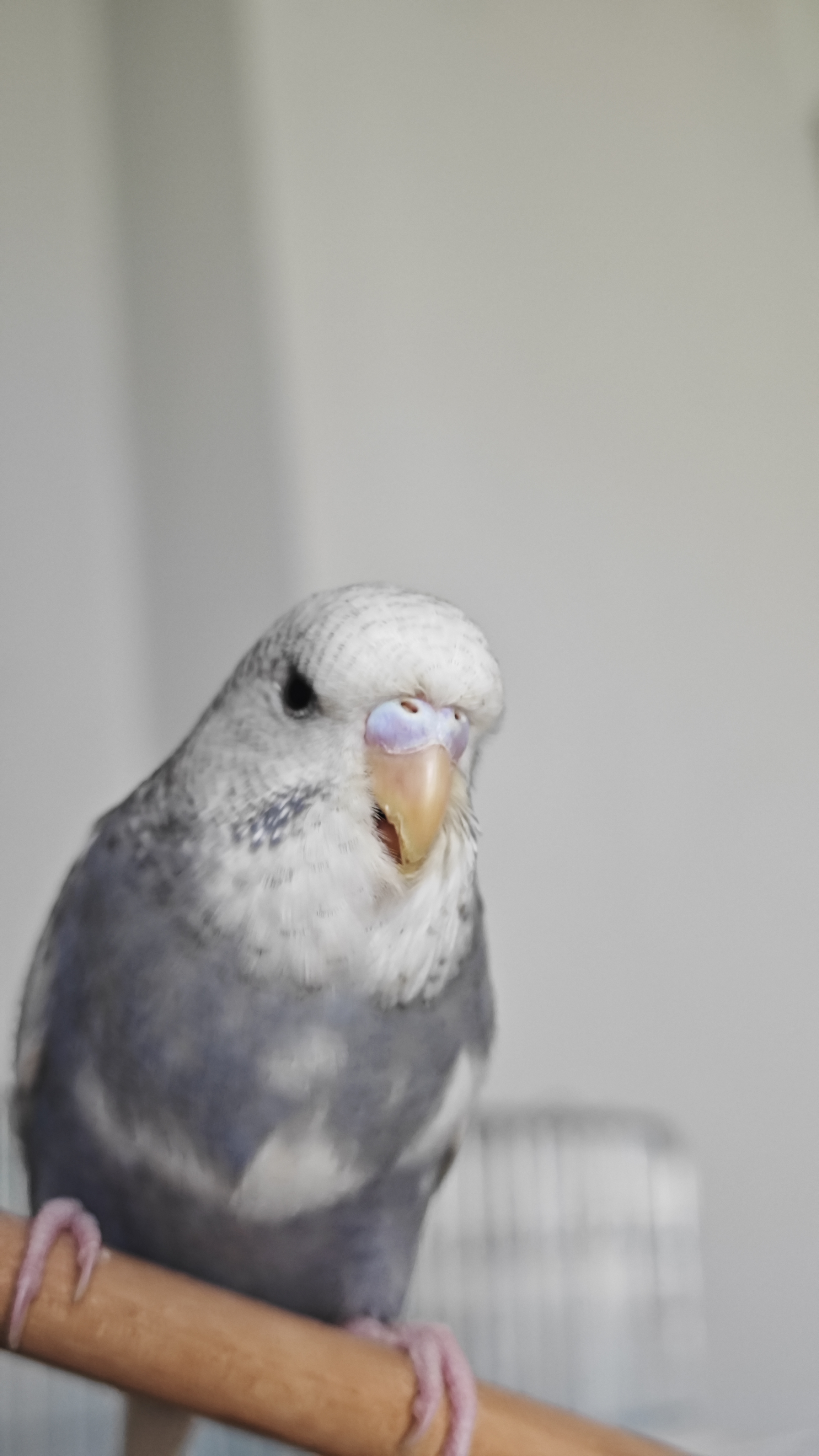 hizliresim.com
