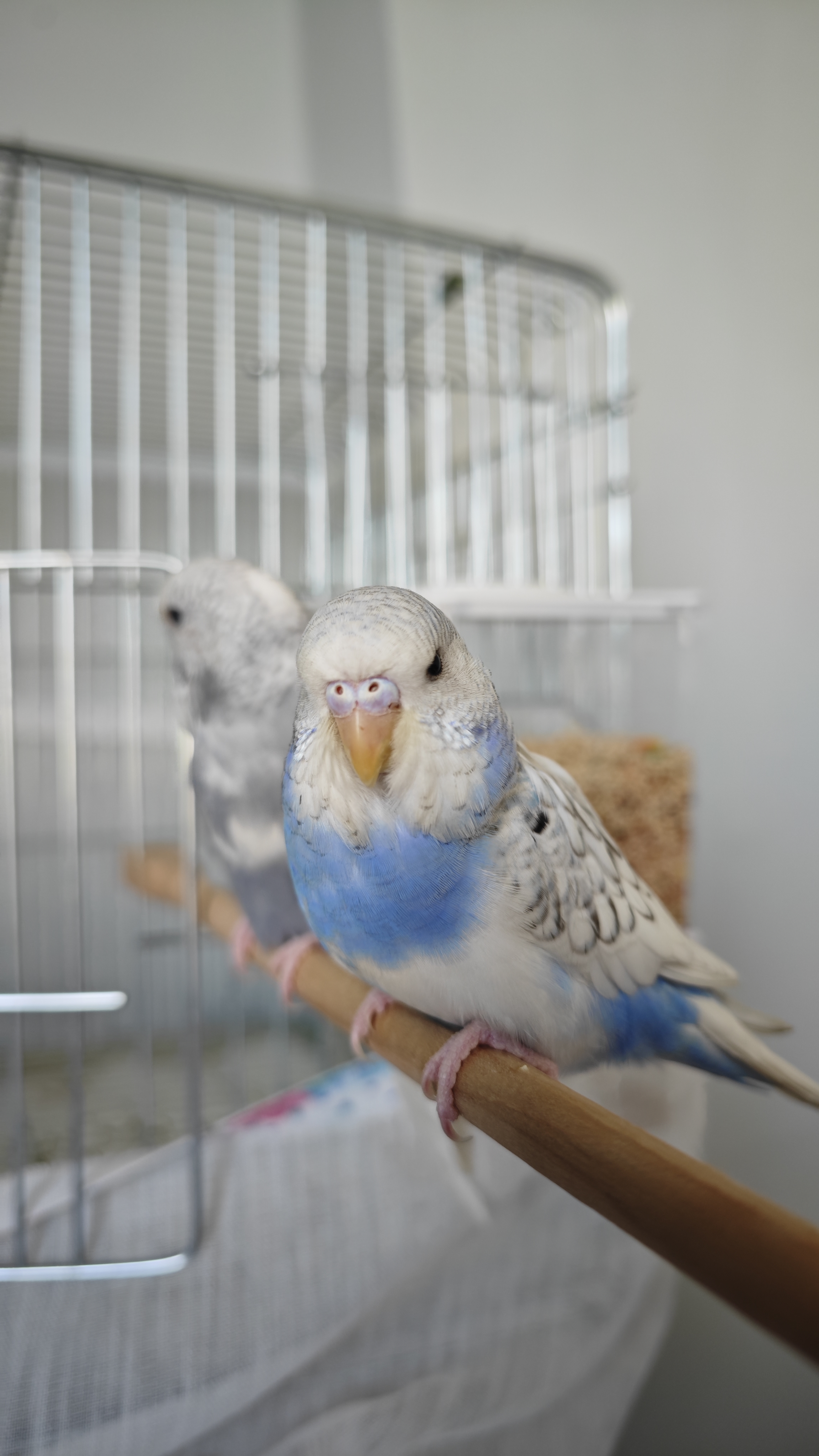 hizliresim.com
