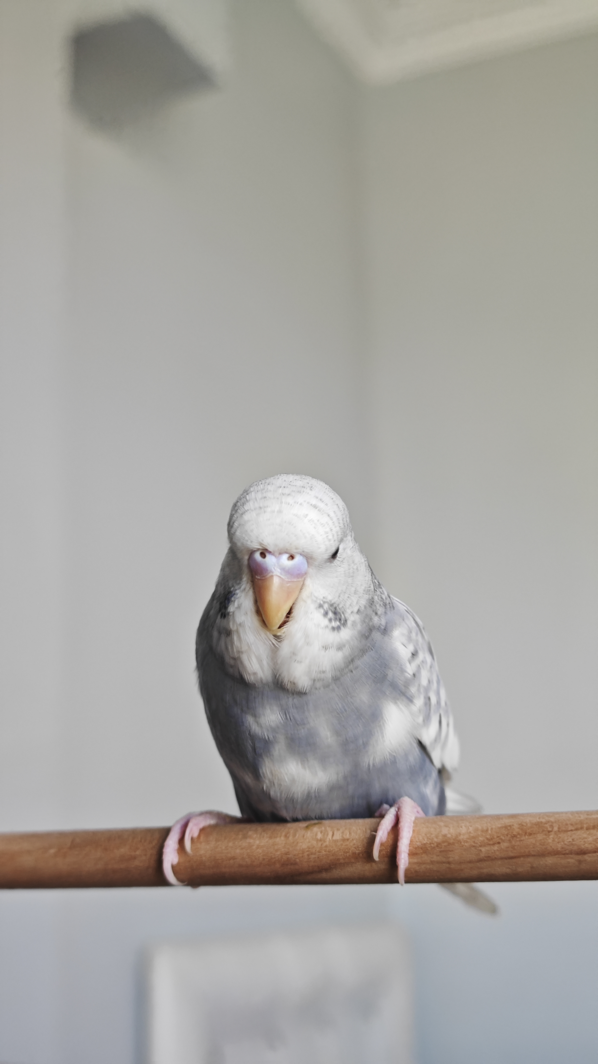 hizliresim.com