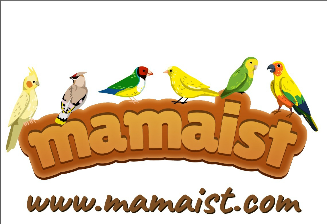 www.mamaist.com